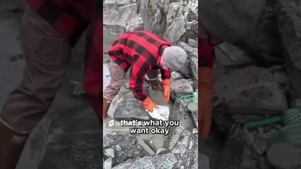 The 12 Alaskan Gold Rush Secret They Didn T Tell Us About 