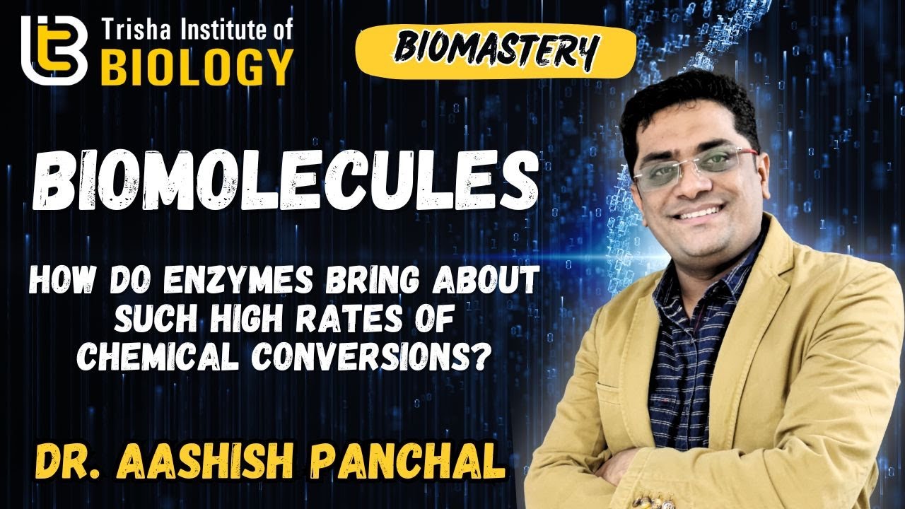 HOW DO ENZYME HIGH RATE OF CHEMICAL CONVERSION