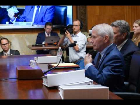 Video Sen. Paul Says Senate Committee Will Vote to Hold Fauci in Contempt