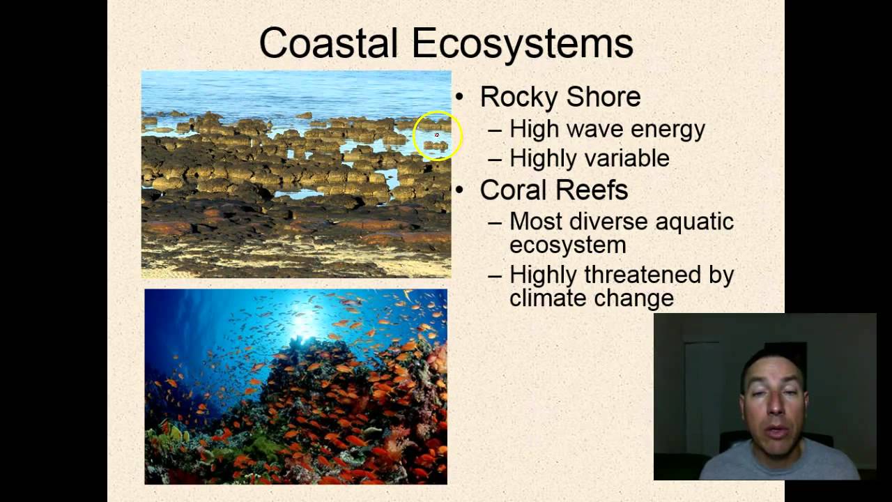 APES Lecture 16 Aquatic EcosytemsSaltwater YouTube