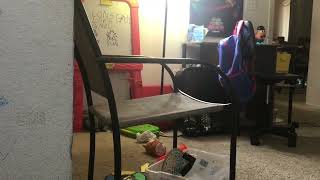 video