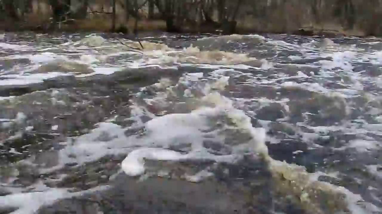 Кафе на никишихе чита