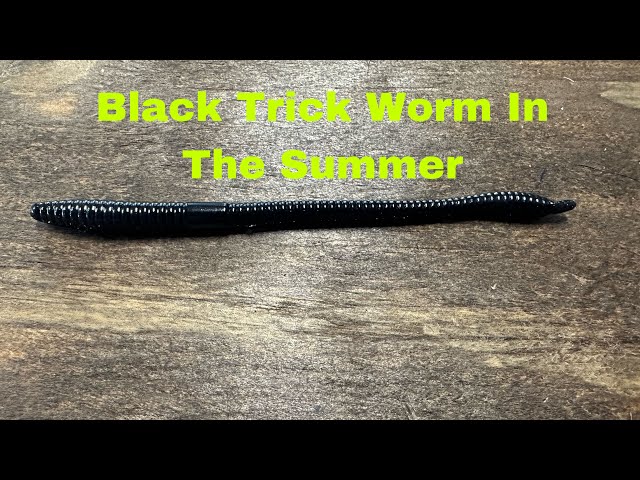 When A Black Trick Worm Outproduces All Other Plastic Worms 
