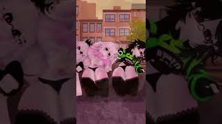 Rostiando Tik Toks pt2 (1-2)