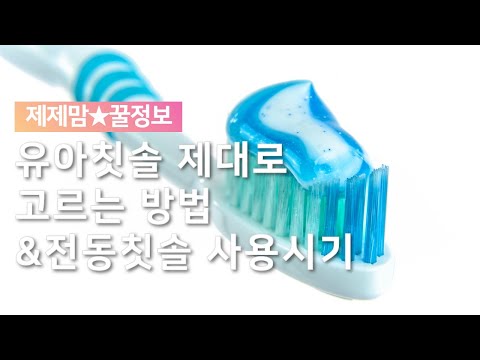 유아칫솔 제대로 고르는 꿀팁! 유아전동칫솔 사용시기! 교체시기까지!