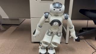 Details Lateral COM Moving of a NAO V6 bipedal robot, 2026/09/10 News