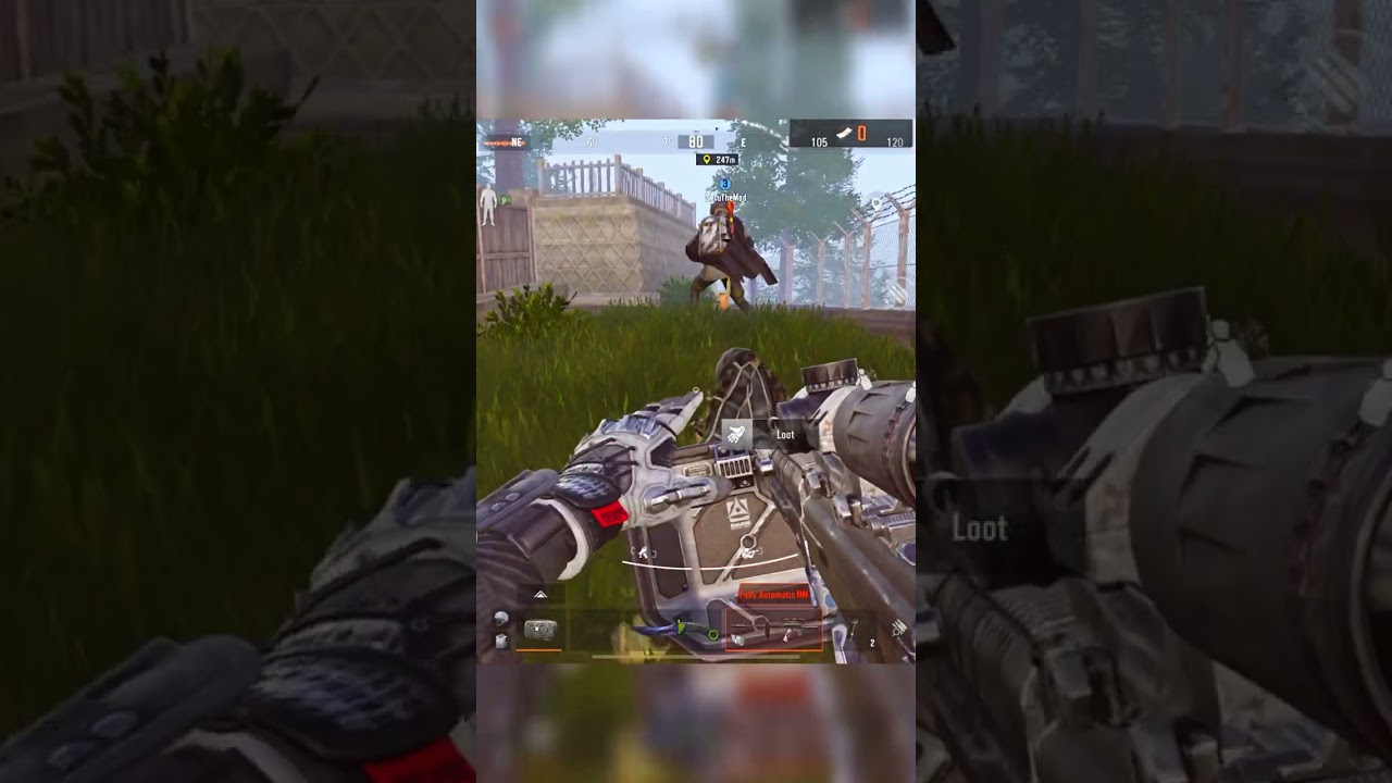 Карантин на ферме — это безумие! 