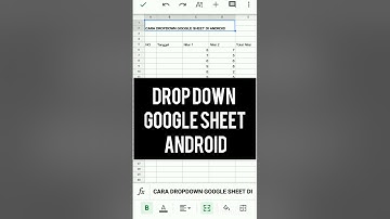 Cara Menggunakan fitur Dropdown Google sheets di android