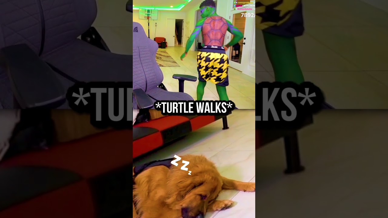 This Ninja Turtle Really Loves His Dog! 🥹❤️‍🩹