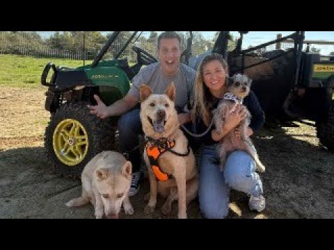 LIVE 🔴 from the NEW Dog Rescue Farm! Featuring Pumpkin, Lilly & Bodie 🥰