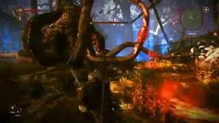 The Witcher 2  Убийство кейрана (Вторая глава)