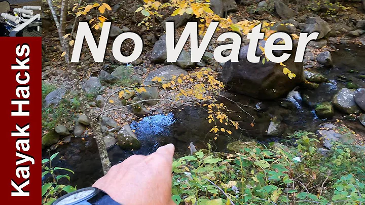 Conway River Virginia Trout Fishing 2022