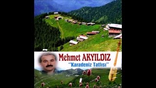 MEHMET AKYILDIZ - NİYE GELDİM Resimi