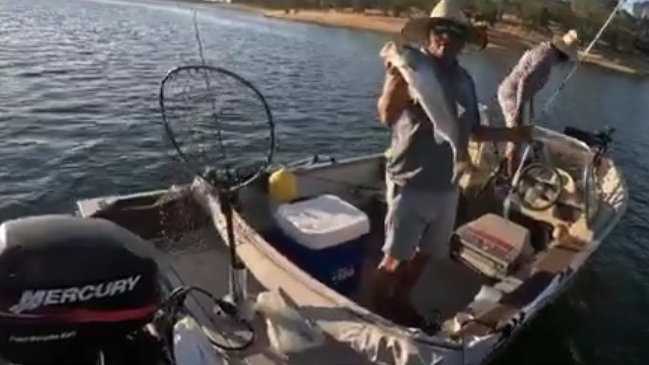 PRIMER STRIPER BASS EN NEW HOGAN LAKE fishing fish YouTube