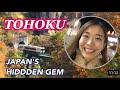 TOHOKU/ 99% of Tourists Have NEVER VISITED this Region - 🍁 Autumn Leaves & Hot Spring