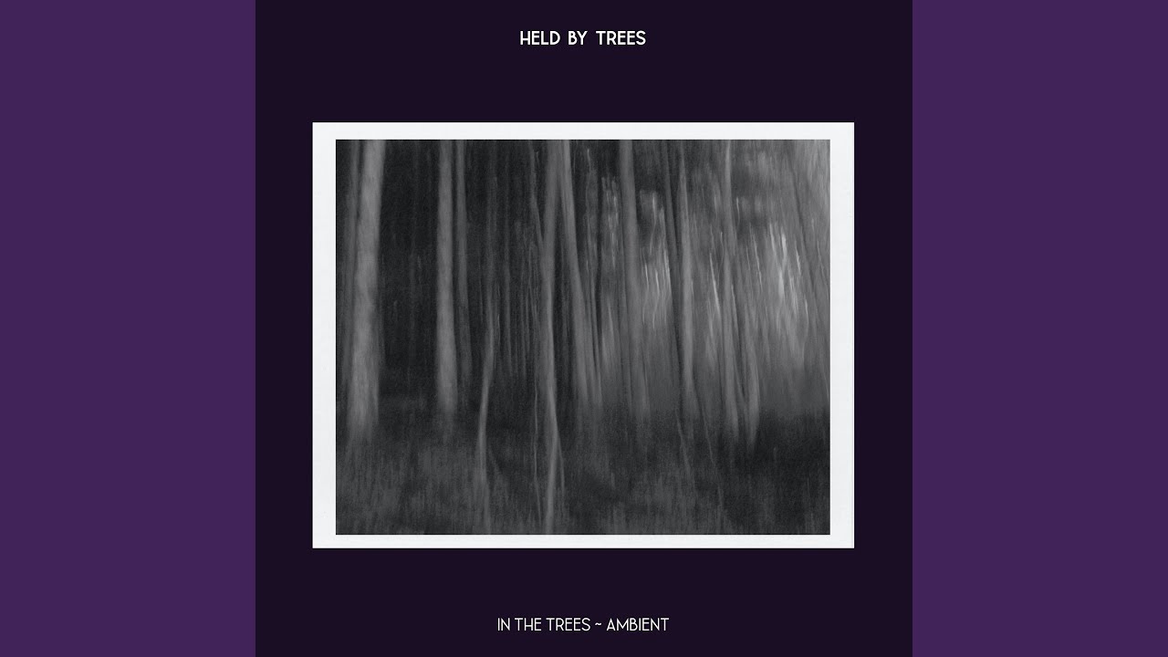 Watch In the Trees (Ambient) on YouTube Watch In the Trees (Ambient) on YouTube