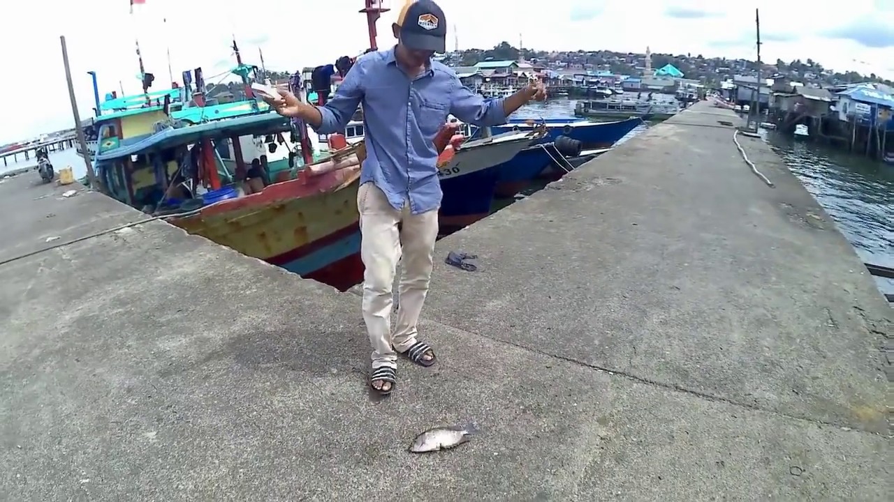 Lihat orang mancing ikan baronang, strike jumbo. Mantap!