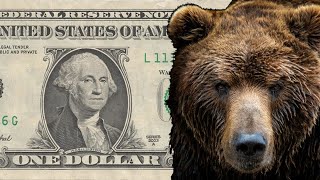 U.S. Dollar: When Almost Everyone Is Bearish … | Elliott Wave International