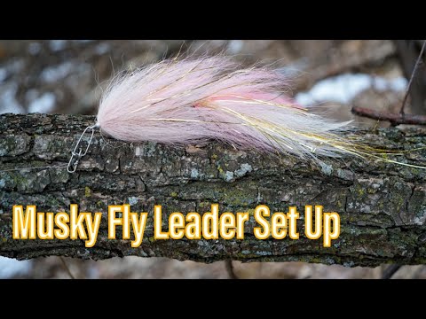 Musky Fly Fishing Leader Set Up