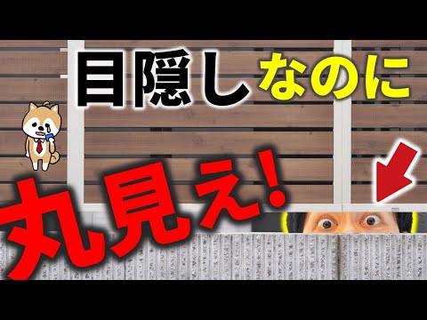 【お金返して…】目隠しフェンスをつけたのに、丸見えになる!どうして?