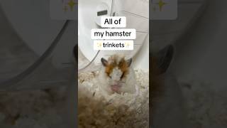 All of Hamster trinkets #hamster #pets #fyp #shorts