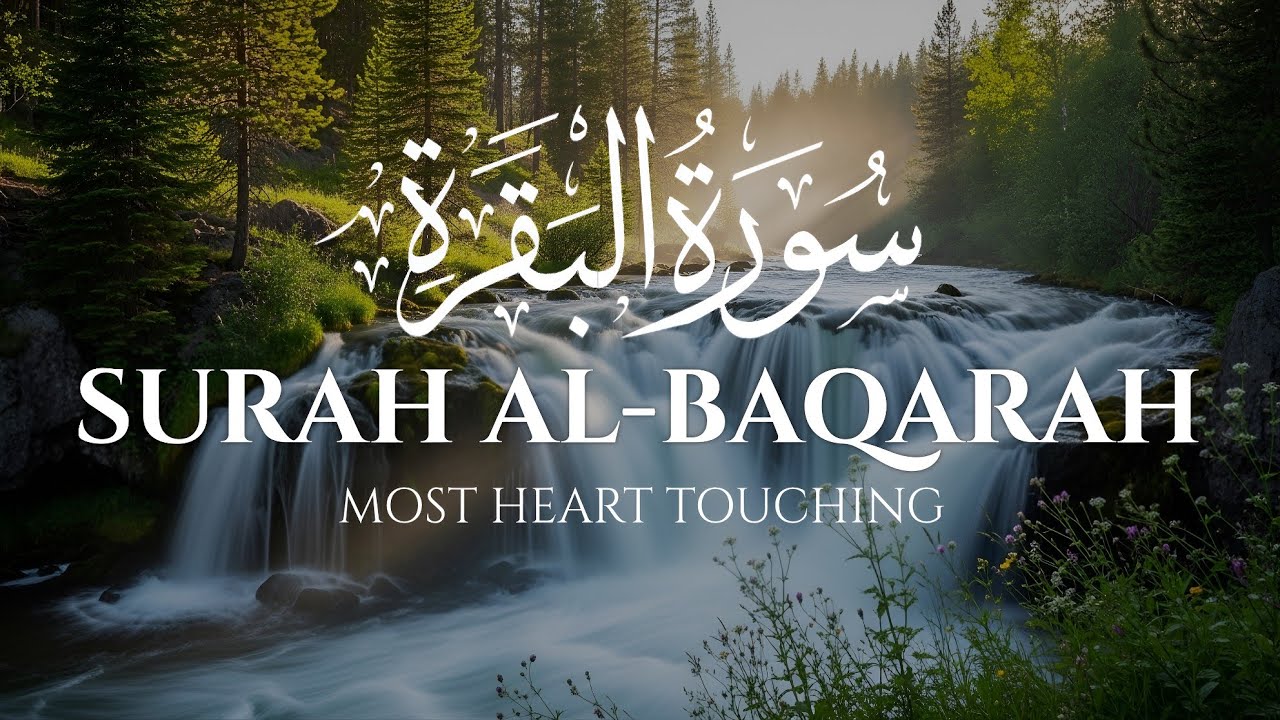 Surah Al-Baqarah | Full Surah with Beautiful Recitation | Quran Tilawat for Peace & Blessings