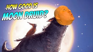 Circle of the Moon Subclass Rating Dnd 5.5 2024