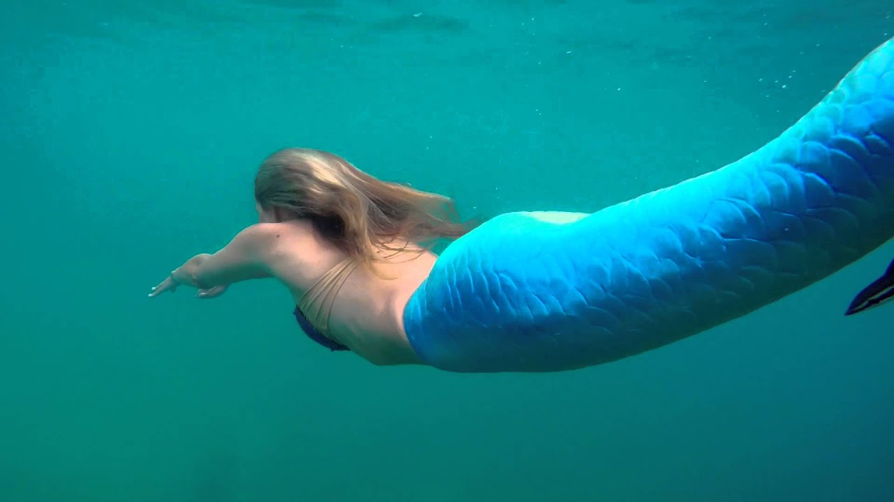 Incredible video of a fish who befriends a real mermaid! - YouTube