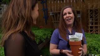 Raleigh garden shop encourages gardeners to grow, donate fresh produce