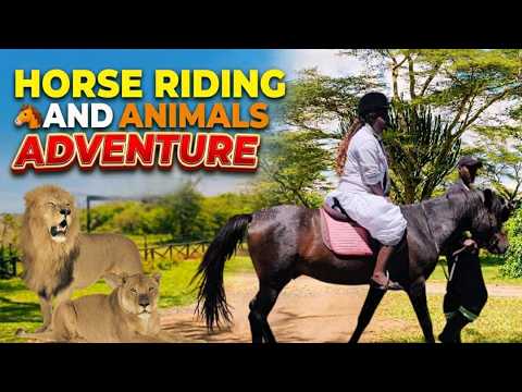 Horse 🐎 Riding and Adventure