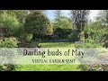 Chevithorne Barton; darling buds of May