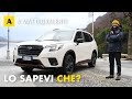 Meglio delle solite europee 10 cose che forse non sapevi della subaru forester