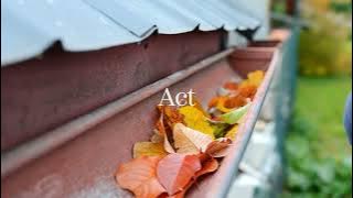 Intact Insurance | Keep it Intact – Act vs. React - Flood 2 | EN