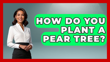 How Do You Plant A Pear Tree? - The Plant Enthusiast