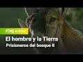 El hombre y la tierra: Capítulo 20 - Los prisioneros del bosque II | RTVE Archivo