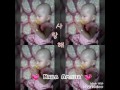 Cute baby ( Naila Amalia )