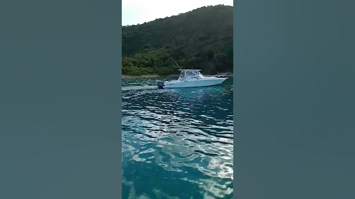 Wait For It!  Fun Day At Willie T Norman Island BVI