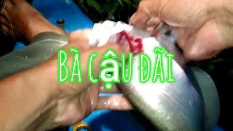 Cắm câu thác lác cườm mưu sinh, chưa cắm xong câu đã có hàng #tuanvlogssanbatmuusinh#camcau