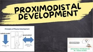Proximodistal Development