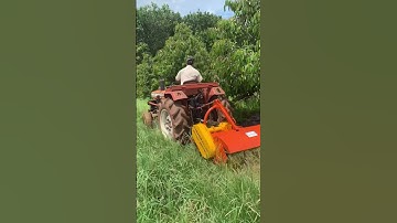 Phát cỏ trục băm sdt0914300779 Lĩnh.