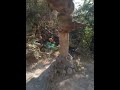 Mirador del cerro de la cruz 3n Mascota Jal.