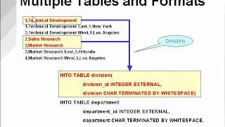Celebrity SQL Loader 6 Net Worth