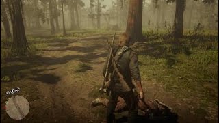 Voodoo Gang Ambushed Me - Red Dead Redemption 2 screenshot 5