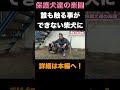 【凶暴犬】家族全員に噛み付き病院送りにした柴犬の末路 #犬の問題行動 #柴犬 #噛み犬