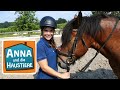 Anna lernt Reiten #2 | Selbst die Zügel in der Hand | Anna und die Haustiere | Spezial