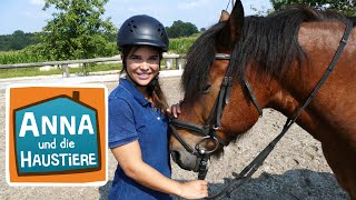 Anna lernt Reiten #2 | Selbst die Zügel in der Hand | Anna und die Haustiere