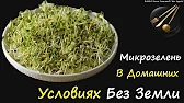 Книга Рецептов / Bon Appetit