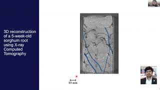 3D Molecular cartography of the sorghum rhizosphere | EMSL User Meeting
