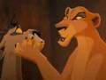 il re leone 2 zira e la sua ninnananna
