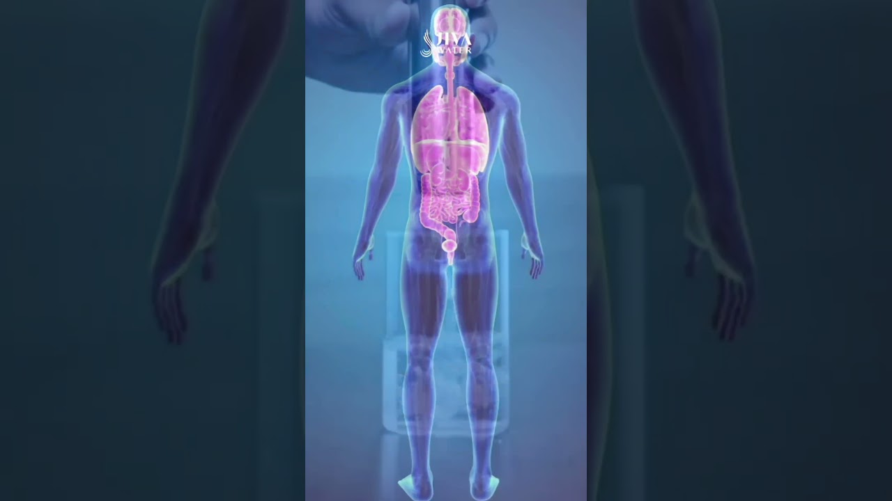 Hydration Matters More with Age—Upgrade to Jiva Water for a Healthier You! 